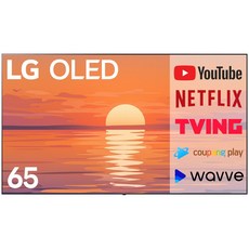 LG전자 올레드 울트라HD UHD 4K OLED TV 65인치 돌비 애트모스 OLED65C8, 고객직접설치, 스탠드형, 163cm(65인치)