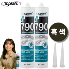 탑씰 790 렉산 외장용 흑색 실리콘 실란트 270ml 노즐포함, 2개