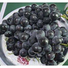 프리미엄 캠벨포도 켐밸 머루 거봉 송산 영동 추풍령 김천 2kg 3kg 5kg, 1개, (특) 프리미엄 캠벨포도 2kg