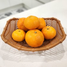 다용도 쌈 소쿠리 옵션 1