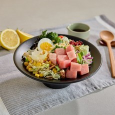 [튜나바이브] 냉동참치회 눈다랑어 포케용 큐브, 1개, 400g