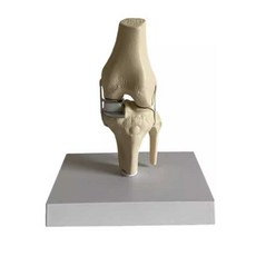 무릎관절 모형 부분치환술 실습 교육 병원 인체모형 부분, 전체 치환