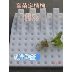 育苗海綿 20*250*250mm 無土栽培網格水培育苗海綿, 白色五片,20250250, 1個
