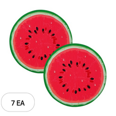 비앤씨 플라잉 후르츠 물에뜨는 원반 2p, 수박, 7세트