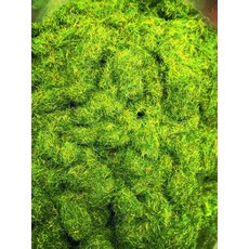 台南造研所 微型草針草粉 苔蘚造景 軍事模型 公仔場景 多色, 枯草黃,25g, 1個