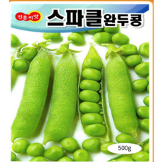덩쿨없는 다수확 조생종 완두콩씨앗 500g 스파클 내한성 품종, 1개