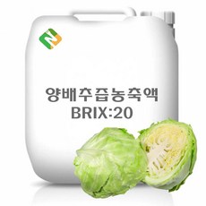양배추즙농축액 20Brix 200g 샘플, 1개