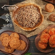 한국민속촌 국내산 우리콩 청국장 110g x 보통맛 10팩