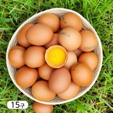 [농장직송] 항생제 없는 신선한 계란 대란(52g~59g Small-medium), 15구, 1개