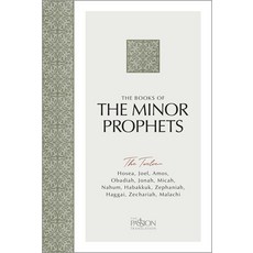 (영문도서) The Books of the Minor Prophets: The Twelve (the Passion Translation) Paperback, Broadstreet Publishing, English, 9781424569915