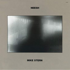 [CD] Mike Stern (마이크 스턴) - Fat Time
