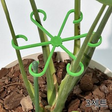 파파가든 바람개비 식물지지대 (4가지 사이즈 1set) 화분 화초 꽃 지지대, 3세트, 그린