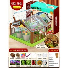 작은 화분 심기 키트, 2. 선실 심기 (LED 조명 버전) 12 컵과 12