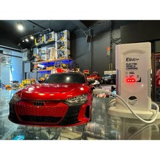 《世界通遙控模型》新品 公司貨 可維修 奧迪能源車 會自動停車, 1個, 紅色, 紅色