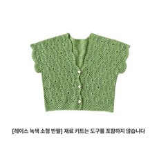 여성 여름 크로셰 니트 펀칭 레이스 가디건 숏 루즈핏 브이넥 데일리 반팔, 레이스그린 스몰 반팔, 1개