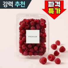 [특품선별] 당일수확 프리미엄 산딸기 생과, 1개, 1kg