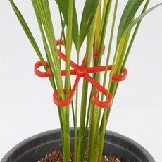 도비 식물 지지대 4P 식물원형지지대, 블랙