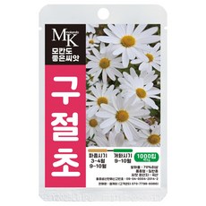 구절초 씨앗 1000립 꽃씨 꽃씨앗, 1개