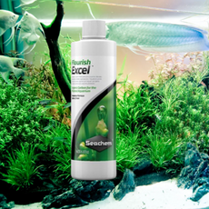 붓이끼 제거 어항 녹조 이끼 실이끼 제거 제거제, 1개