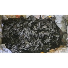 (냉동)강원도자연산 .까치버섯.먹버섯 1kg, 1개, (냉동) 1kg