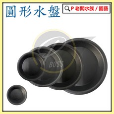 P老闆園藝 圓形水盆 爬蟲水盤 盆栽水盤 接水盤 底盤 花盆 植物 盆栽 底座 托盤 園藝 兩棲爬蟲, 1個, 6號圓形水盤