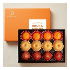 자연의감동 혼합과일 7호 사과4개+배4개+레드향4개 5.2kg 과일선물세트184555, 자연의감동 혼합과일 7호 사과4개+배4개+레드향4개 5
