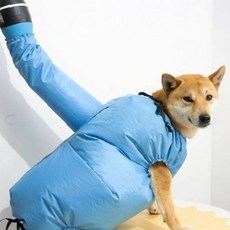 후드 일체형 반려견 목욕 건조 타월 블루 컬러 흡수성 원단 소형견 중형견용, 1개, 대