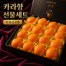 [진짜백화점납품] 과일선물세트 프리미엄 제주 카라향, 1박스, 2kg