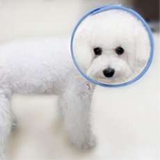 탈부착찍찍이 국산 투명 강아지 목카라L 베이직 강아지넥카라, 1개