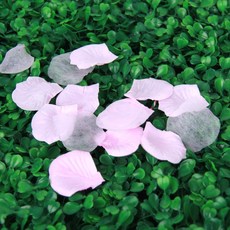 꿀이맘 플라워샤워 꽃잎 컨페티 핑크 100장 꽃가루