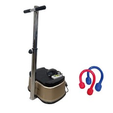 三代拉麗神 銀貂/金貂 直立式升降 扶手款 垂直律動機 贈拉力繩 2(顏色隨機) 律動儀 健身機 保健 養生美體運動機, 1個