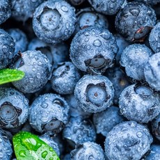 수입산 칠레 고당도 프리미엄 블루베리 대과, 4세트, 125g