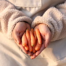 농산물마루 국내산 스낵당근 베이비당근 미니당근, 1박스, 1kg