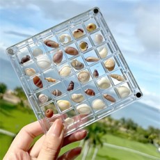 신라Pick 콩알금 조개 껍데기 아크릴 케이스 아크릴보관함