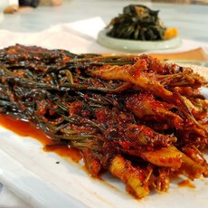여수 여름 햇 고들빼기 김치 500g 쌉싸름한 감칠맛 국내산 재료, 1개