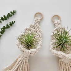 (식물포함) 마크라메 이오난사 월행잉 만들기 취미 생활 DIY키트