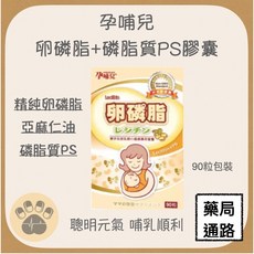 孕哺兒 卵磷脂+磷脂質PS膠囊 聰明元氣 哺乳順利, 1個
