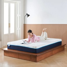 코스트코 웨일슬립 고밀도 메모리폼 매트리스 - 퀸 694130