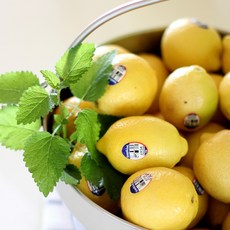 상큼한 썬키스트 레몬 생과, 1개, 레몬 15개입