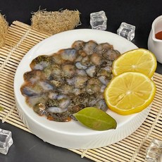 국내산 제철 활 해삼 500g, 1개