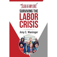 (영문도서) Surviving the Labor Crisis Paperback, Page Beyond Press, English, 9781953640208
