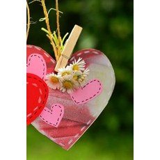 (영문도서) Hearts Notebook Paperback, Createspace Independent Pub..., English, 9781720790013