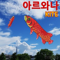 대형 물고기 아르와나 연, 1개