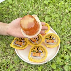 어린이 아이 영양 간식 감 젤리 참다래 젤리 남녀노소 건강간식 130g 1box, 감젤리, 8개