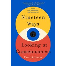 (영문도서) Nineteen Ways of Looking at Consciousness Paperback, St. Martin's Griffin, English, 9781250151193
