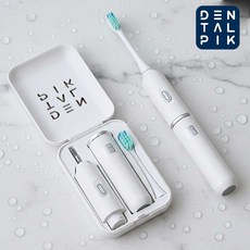 덴탈픽 포켓팩 휴대용 음파 전동 진동 미세모 칫솔 DP-9100