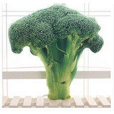 孟之坊婚禮精品舘 花椰菜捧花．花椰菜娃娃．生日禮物．婚禮小物．伴郎禮．婚禮佈置, 1個