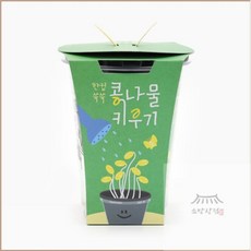 우노구나 한컵쑥쑥 콩나물 키우기 통통한국산콩나물