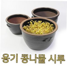 옹기콩나물시루 콩나물 소, 본상품