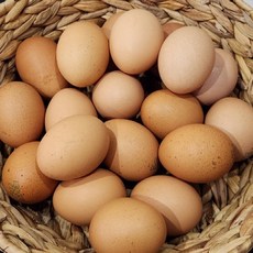 1+등급 특란 계란 20구 무항생제 달걀, 없음